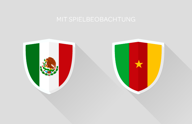 Fußball-Weltmeisterschaft: Mexiko - Kamerun