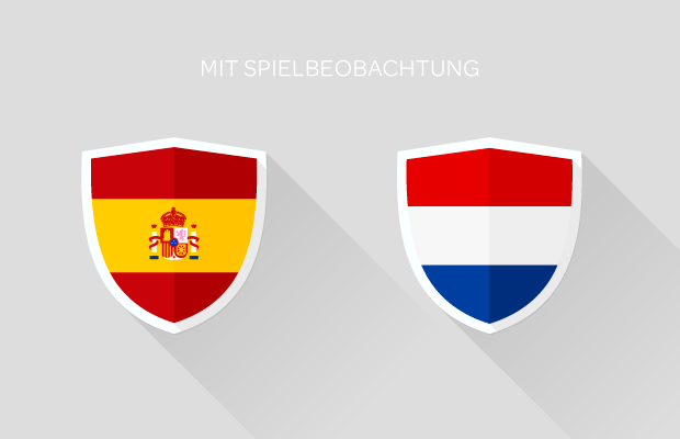 Fußball-Weltmeisterschaft: Spanien - Niederlande