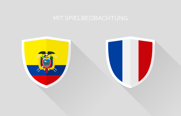 Fußball-WM: Ecuador - Frankreich